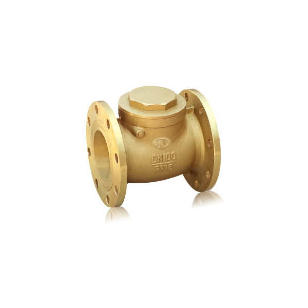 Brass flanged check valve