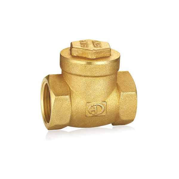 Brass Works special check valve