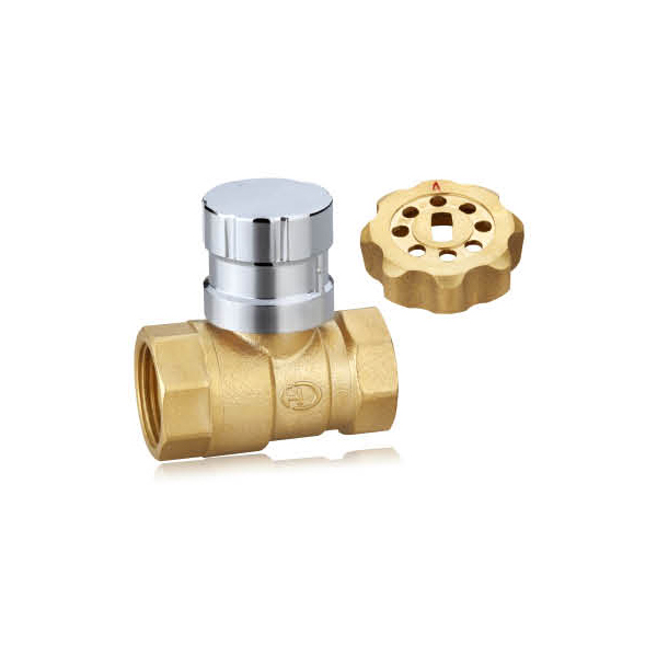Type 216 brass magnetic locking valve